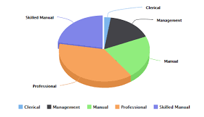 Tip Html 5 Pie Chart As Html 5 3d Pie Chart In Jaspersoft
