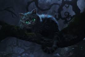 cheshire cat wallpapers top free