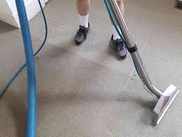 1 for carpet cleaning in versailles ky