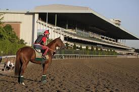 Predicteforms Analysis Of The Belmont Stakes The Daily
