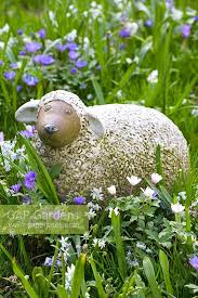 Ceramic Sheep In Spr Stock Photo By