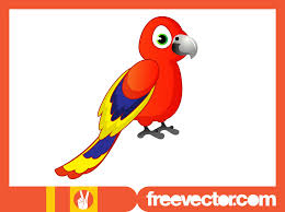 cartoon parrot vector art graphics
