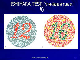 ppt ishihara test powerpoint