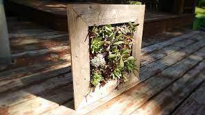 how to build a vertical succulent garden