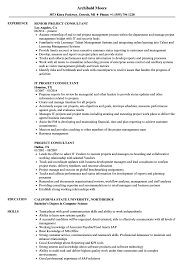 project consultant resume sles