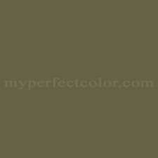 Dulux Olive Green Precisely Matched For