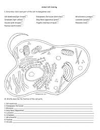 Pamishan creature dichotomous answer key jpg 2448 3264 dichotomous key biology worksheet kids. Plant Cell Coloring