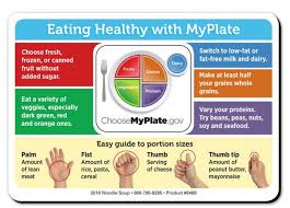 eating healthy with myplate magnet