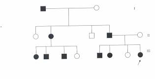 Pedigree Chart Showing Autosomal Dominant Inheritance