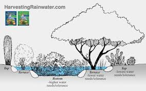Rain Garden Planting Zones Rainwater