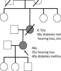 Figure1 The Pedigree Chart Of The Patients Family History