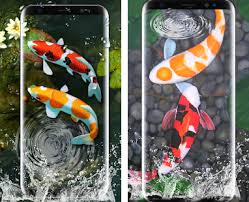koi fish live wallpaper 3d aquarium