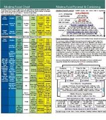 Alkaline Food Chart 8 Inch X 8 Inch American Med News