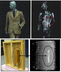 3 D Body Holographic Millimeter Wave Scanner Available