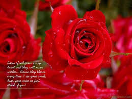 Flower quotes, Beautiful love flowers ...
