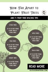 how far apart to plant fruit trees 7