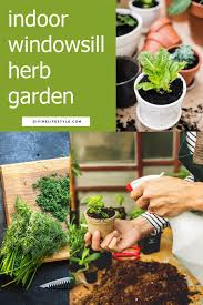 Windowsill Herb Garden Diy