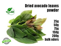 avocado leaves dried organic tea