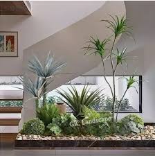 Indoor Interior Landscaping Service