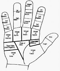Palm Reading For Beginners See Graphic Attachment Mounts