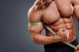 best plan for muscle growth