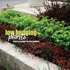 Low Hedging Plants About The Garden