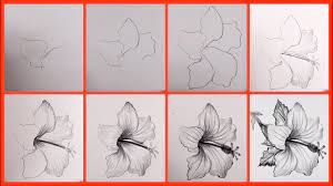 how to draw a flower step by step
