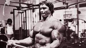 arnold split the best 6 day workout