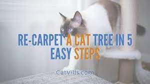re carpet a cat tree in 5 easy steps