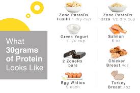what 30 grams of protein looks like