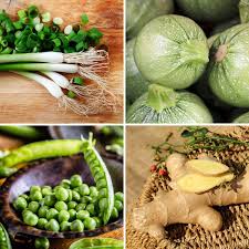 16 vegetables that start with g the