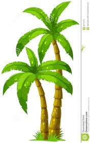 Primeiro, comece desenhando o tronco da palmeira. Coconut Palm Tree Clip Art Viewing Gallery Desenho Palmeira Ilustracao De Arvore Arvore Desenho