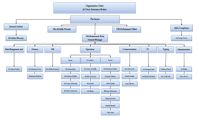 Organization Chart Al Noor Insurance Brokers