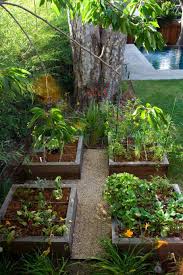 Do you have a small backyard? 30 Amazing Ideas For Growing A Vegetable Garden In Your Backyard