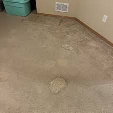 the best 10 carpet cleaning nearby in