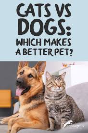 cats vs dogs which makes a better pet