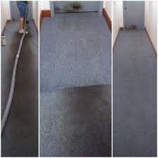 koala t carpet cleaning