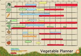 year long vegetable planner the hip