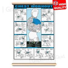 Details About Chest Workout Professional Gym Fitness Wall Chart Poster A4 A3 A2 A1