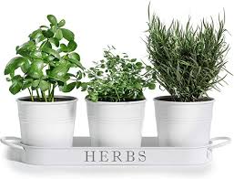 Herb Pots Herb Garden Planter