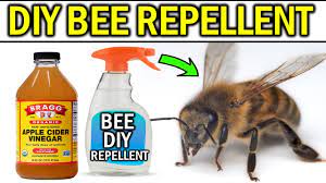 get rid of bee s without killing them