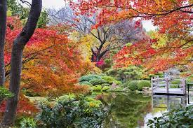 public gardens to visit in fall