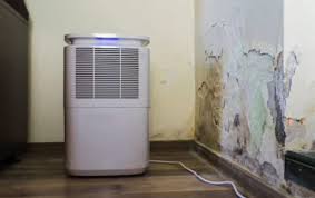 A Dehumidifier Get Rid Of Mildew Smell