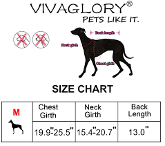 Vivaglory Dog Life Jacket Size Adjustable Dog Lifesaver Safety Reflective Vest
