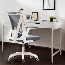 Fenbao Ergonomic Gray Mesh Chair