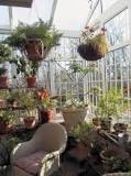 What is the difference between a greenhouse and a conservatory?