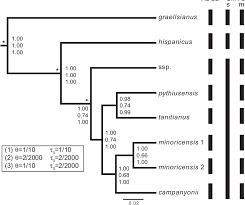 Figure 4 From Biogeography Of The Land Snail Genus