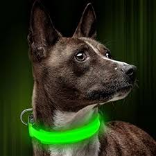 Reflective Dog Collars For Large Dogs Led Usb Rechargeable Light Up Adjustable