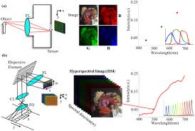 Rgb To Hyperspectral Imaging