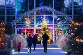 rhs wisley s winter lights spectacle